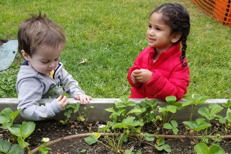 Two children gardening in a raised bed