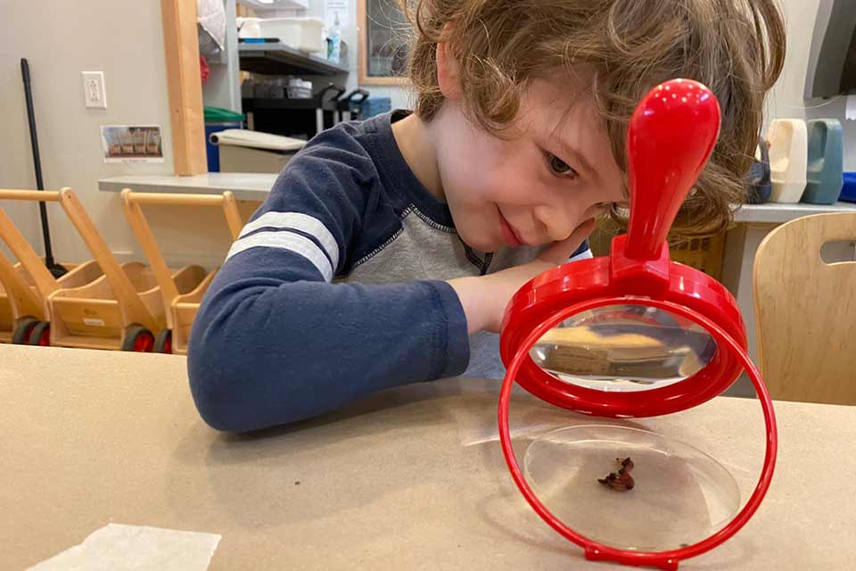 A child looks at something through a magnifying glass